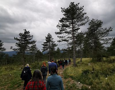 Udeleženci terenskega ogleda projekta med hojo po travišču.